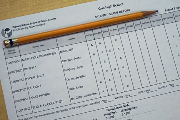 Zero-Code Report Cards
